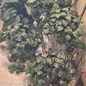 #2 Artificial Faux Plants in Pots for Indoor/Outdoor 2  Full Realistic Quality